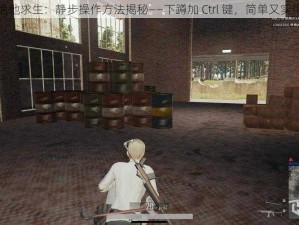 绝地求生：静步操作方法揭秘——下蹲加 Ctrl 键，简单又实用