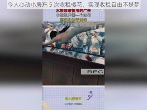 今人心动小房东 5 次收租樱花，实现收租自由不是梦