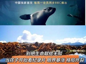 《探索星界边境海洋星球：坐标背后的神秘世界》