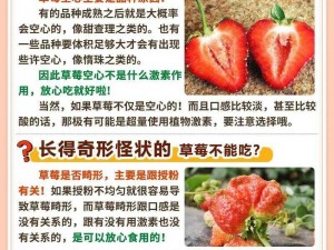 草莓APP网站—请详细介绍一下草莓 APP 网站的功能和特色有哪些？