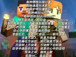 暴躁老人玩 Minecraft，为何会沉迷其中无法自拔？