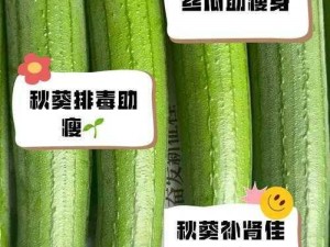 丝瓜秋葵草莓香蕉榴莲绿的营养价值与保健作用