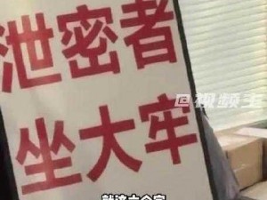 17c 黑密泄料为何如此神秘？独家揭秘为你揭晓答案