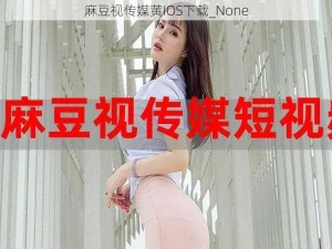 麻豆视传媒黄IOS下载_None