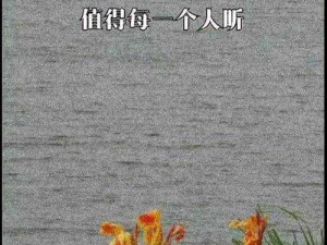 绿洲之恋：Last Lovers爱意截图的深深怀念