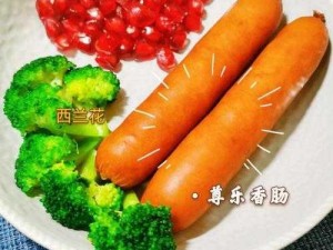 甜芝士Sweech安装与配置手册：详细步骤及注意事项