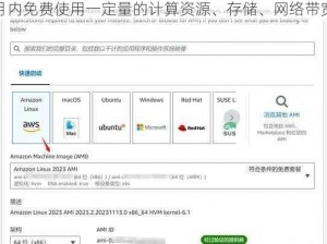 AWS EC2 提供免费套餐，新用户可在 12 个月内免费使用一定量的计算资源、存储、网络带宽等