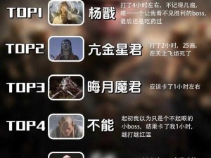 挑战黑暗之魂 7 周目：BOSS 攻略全揭秘