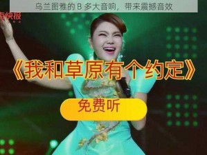 乌兰图雅的 B 多大音响，带来震撼音效