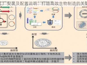 细胞工厂安装及配置说明：打造高效生物制造的关键步骤