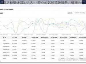 禁 app 下载站长统计网址进入——专业的站长统计服务，精准分析网站流量