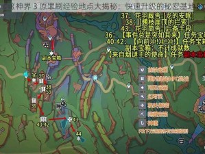 《神界 3 原罪刷经验地点大揭秘：快速升级的秘密基地》