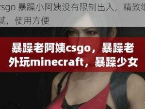 csgo 暴躁小阿姨没有限制出入，精致细腻，使用方便