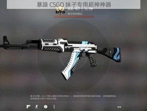 暴躁 CSGO 妹子专用超神神器