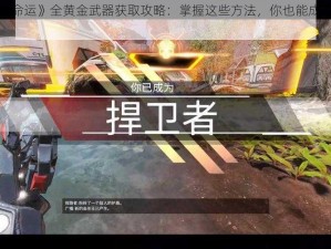 探索《命运》全黄金武器获取攻略：掌握这些方法，你也能成为武器大师