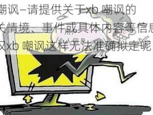 xb嘲讽—请提供关于xb 嘲讽的相关情境、事件或具体内容等信息呀，仅xb 嘲讽这样无法准确拟定呢