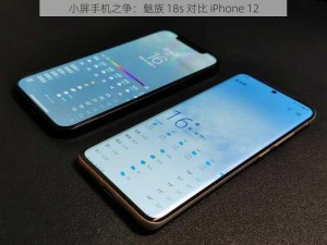 小屏手机之争：魅族 18s 对比 iPhone 12