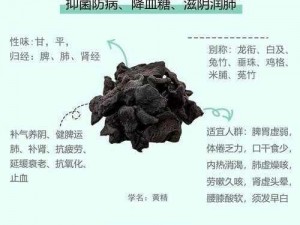 国精产品一区二区三区、请详细介绍国精产品一区二区三区的各自特点及优势所在