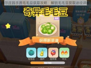 摩尔庄园手游毛毛豆获取攻略：解锁毛毛豆获取途径详解