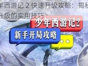 少年西游记 2 快速升级攻略：揭秘高效升级的实用技巧