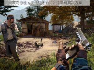 孤岛惊魂 4 无法进入 DLC？这里有解决方案