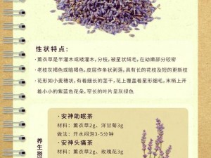 薰衣草研究所 APP 能为我们做些什么？