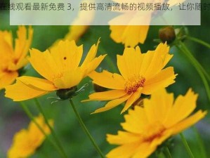 野花视频在线观看最新免费 3，提供高清流畅的视频播放，让你随时随地享受精彩内容