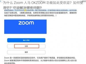 为什么 Zoom 人马 OKZOOM 功能如此受欢迎？如何使用它？它能解决哪些问题？