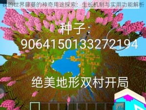 我的世界藤蔓的神奇用途探索：生长机制与实用功能解析