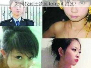 如何找到王梦溪 torrent 资源？