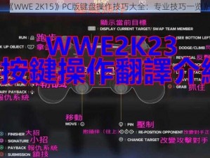 《WWE 2K15》PC版键盘操作技巧大全：专业技巧一览》