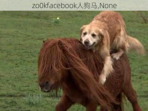 zo0kfacebook人狗马,None