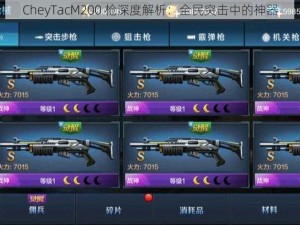 CheyTacM200 枪深度解析：全民突击中的神器