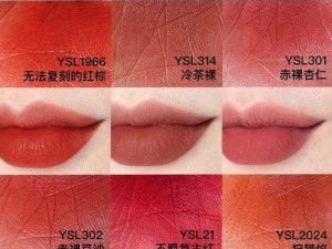 ysl 千人千色 t9t9t9t9t9mba 经典必入色号