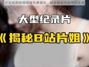 少女视频哔哩哔哩免费播放，超多精彩内容等你发现