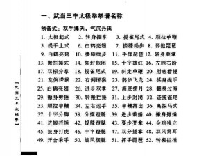 太极剑法奥秘无穷：武当武学宝典探寻与解析