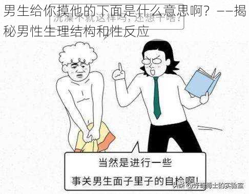 男生给你摸他的下面是什么意思啊？——揭秘男性生理结构和性反应