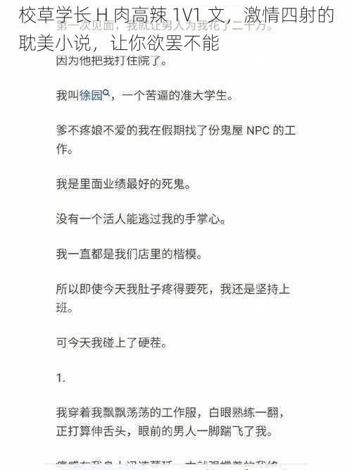 校草学长 H 肉高辣 1V1 文，激情四射的耽美小说，让你欲罢不能