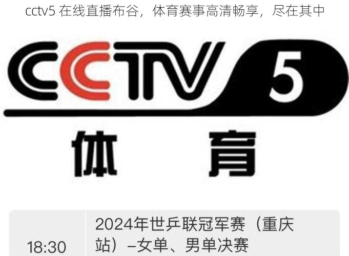 cctv5 在线直播布谷，体育赛事高清畅享，尽在其中