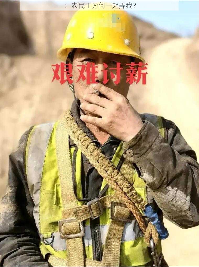 ：农民工为何一起弄我？