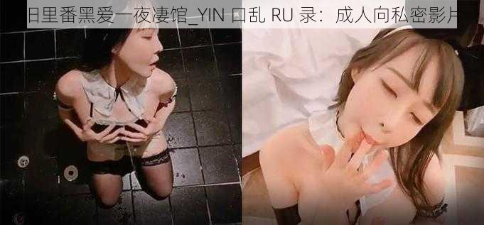 旧里番黑爱一夜凄馆_YIN 口乱 RU 录：成人向私密影片