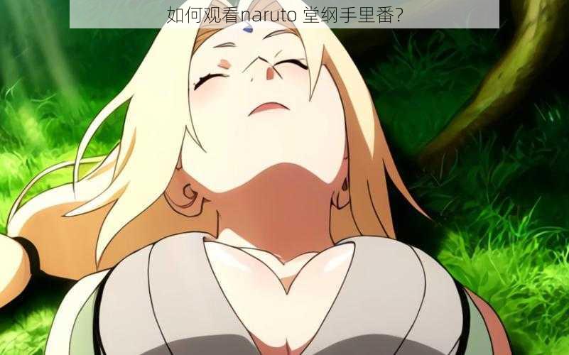 如何观看naruto 堂纲手里番？