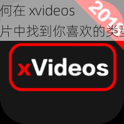 如何在 xvideos 影片中找到你喜欢的类型？