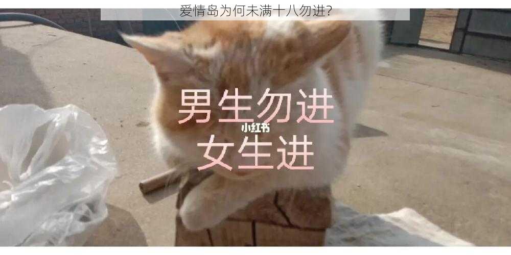 爱情岛为何未满十八勿进？