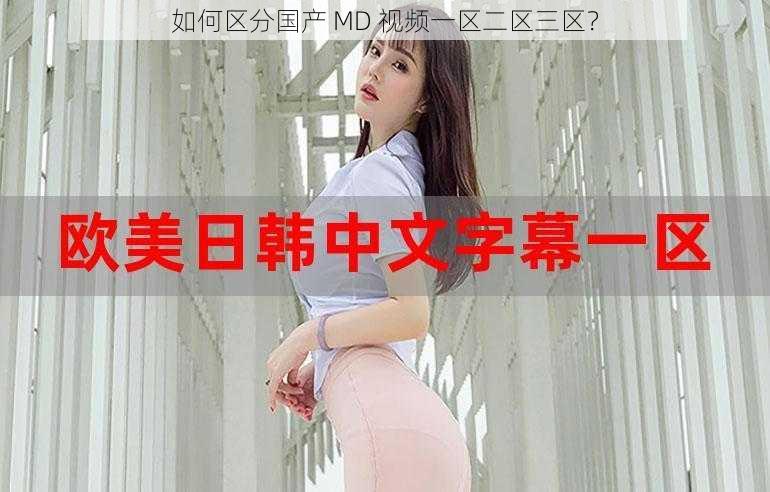 如何区分国产 MD 视频一区二区三区？