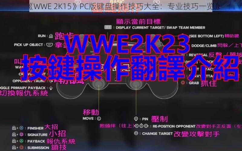 《WWE 2K15》PC版键盘操作技巧大全：专业技巧一览》