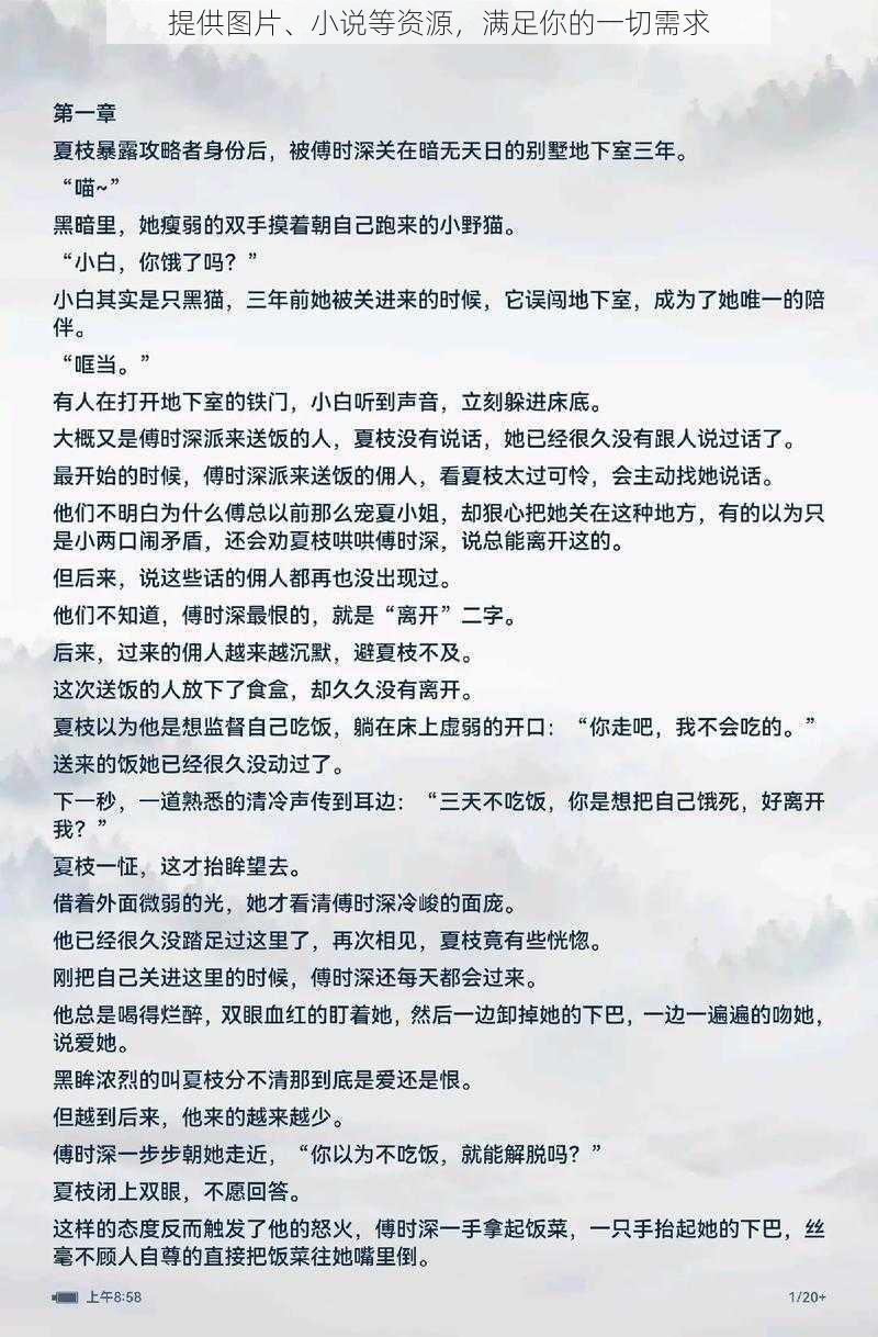 提供图片、小说等资源，满足你的一切需求