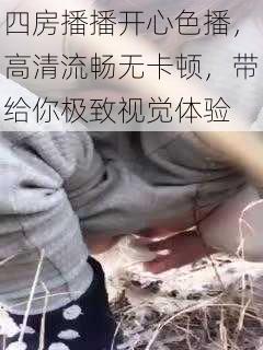 四房播播开心色播，高清流畅无卡顿，带给你极致视觉体验