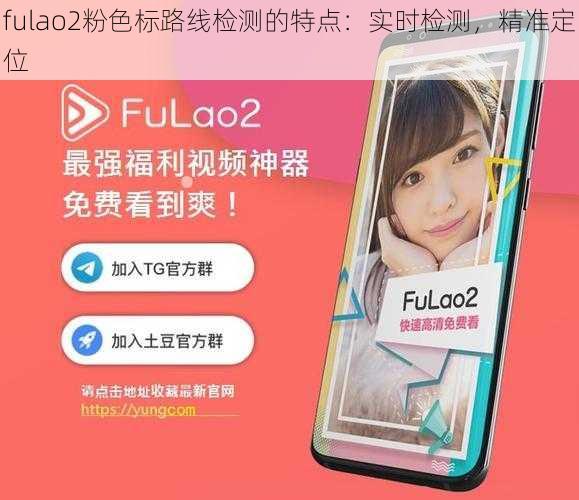 fulao2粉色标路线检测的特点：实时检测，精准定位