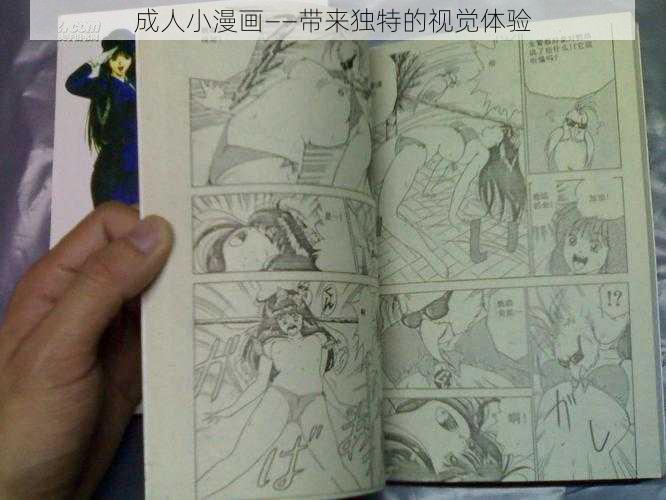 成人小漫画——带来独特的视觉体验